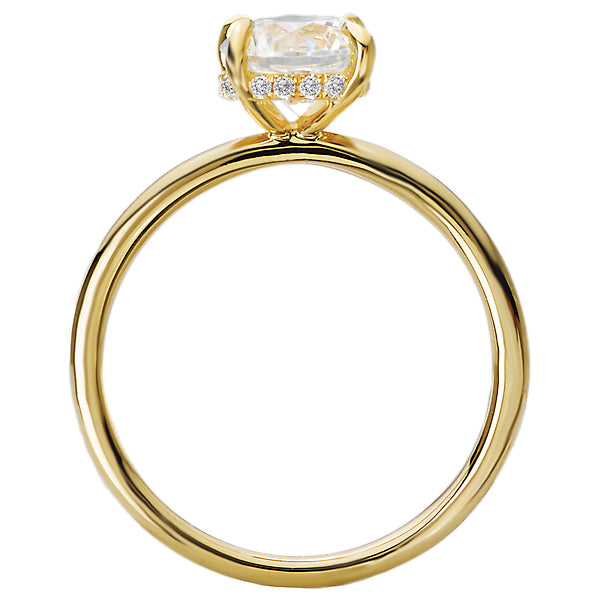 Round Diamond Hidden Halo Engagement Ring