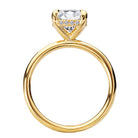 Oval Diamond Hidden Halo Engagement Ring