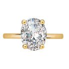 Oval Diamond Hidden Halo Engagement Ring