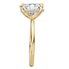 Oval Diamond Hidden Halo Engagement Ring