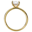 Princess Diamond Hidden Halo Engagement Ring