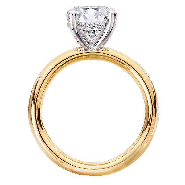 Round Hidden Halo Semi-Mount Diamond Engagement Ring